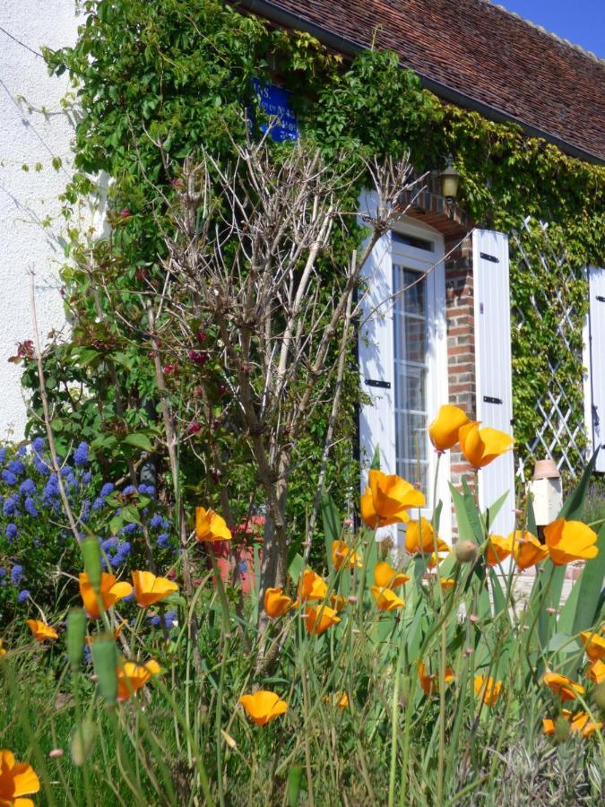 Chambres D'Hotes Les Muscaris Feins-en-Gatinais Esterno foto