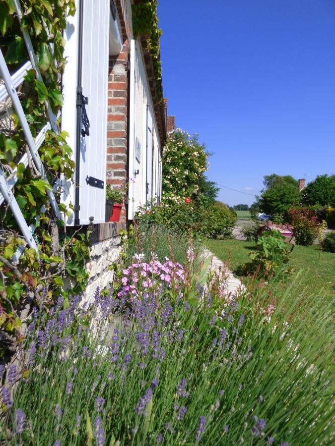 Chambres D'Hotes Les Muscaris Feins-en-Gatinais Esterno foto