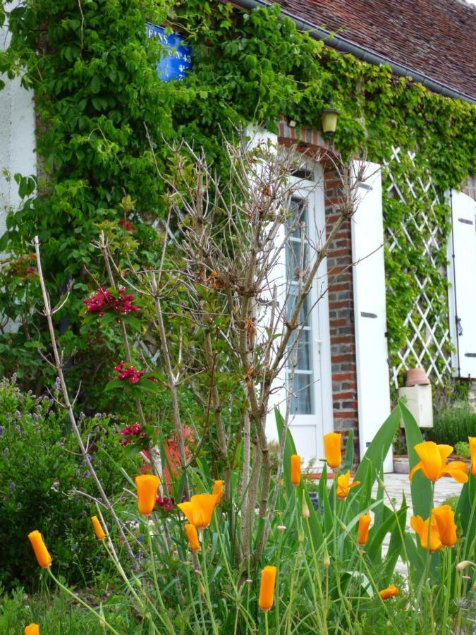 Chambres D'Hotes Les Muscaris Feins-en-Gatinais Esterno foto